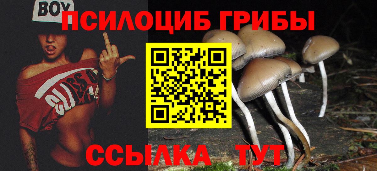 Галлюциногенные грибы Psilocybe  Псилоцибиновые грибы Cubensis  Вход с VPN  Нефтеюганск 
