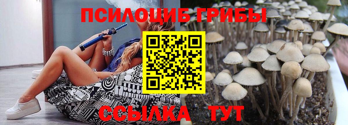 Псилоцибиновые грибы Cubensis Нефтеюганск